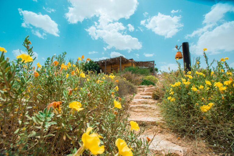 2 לילות סופ״ש בבקתות המבודדות כולל ארוחת בוקר בקפה מונה